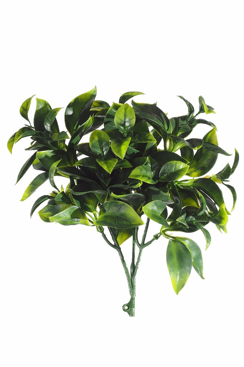 jasmine-stem-uv-25cm