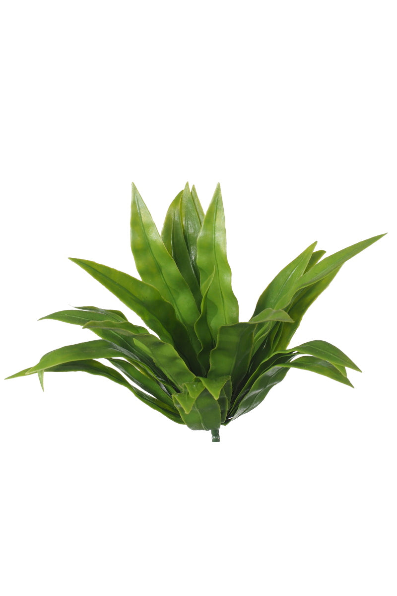 aloe-vera-stem-uv