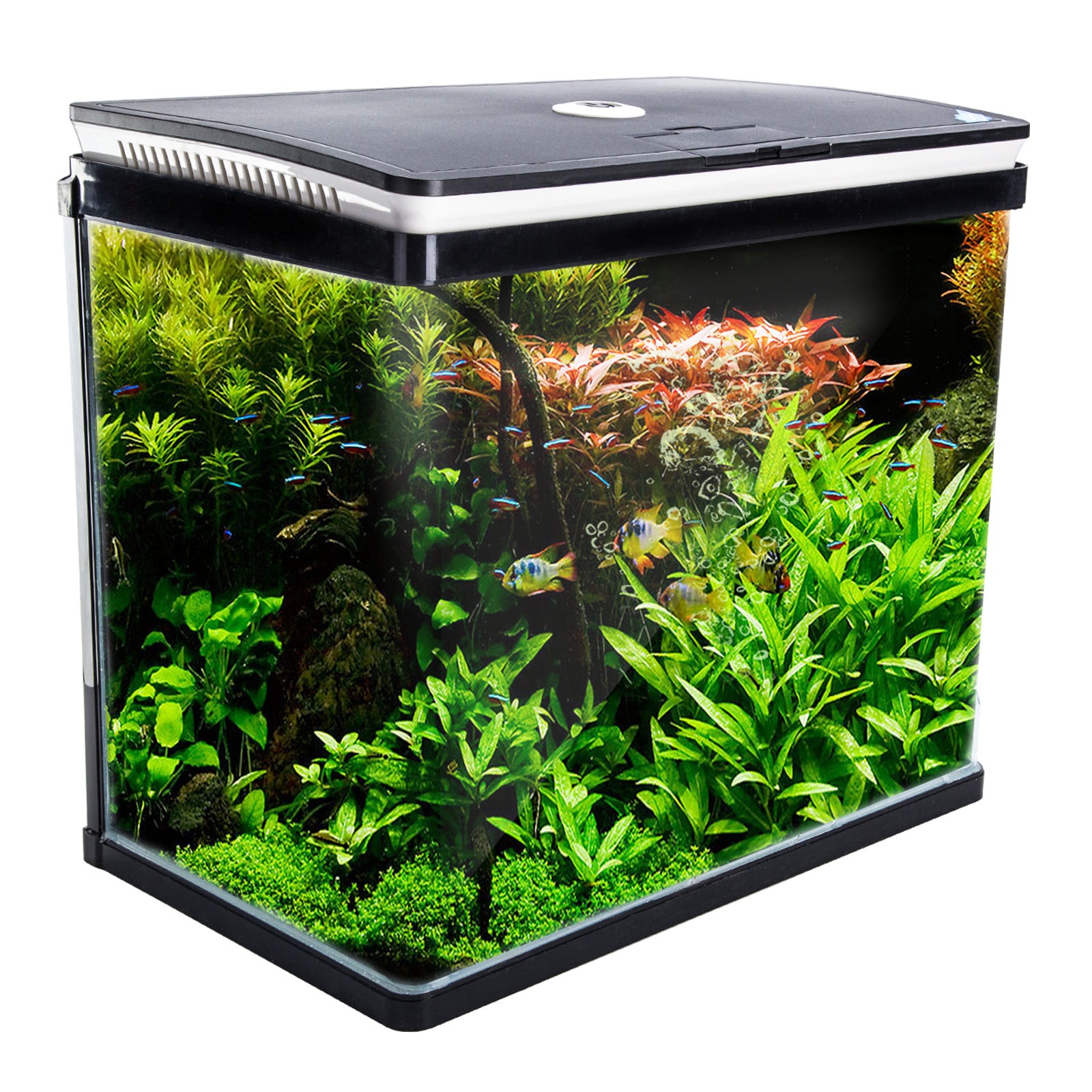 dynamic-power-aquarium-fish-tank-52l-curved-glass-rgb-led