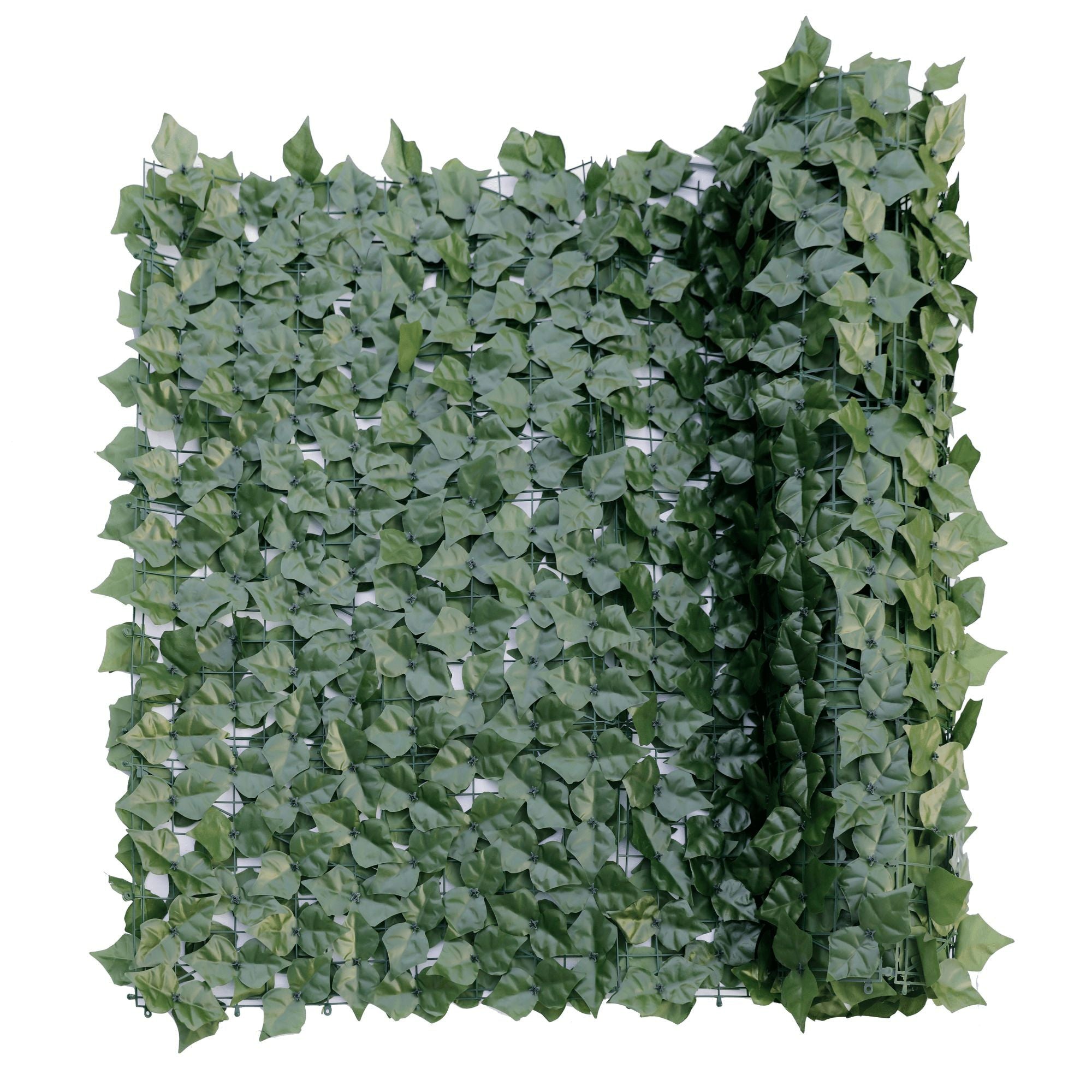 double-sided-ivy-rolls-3m-x-1m