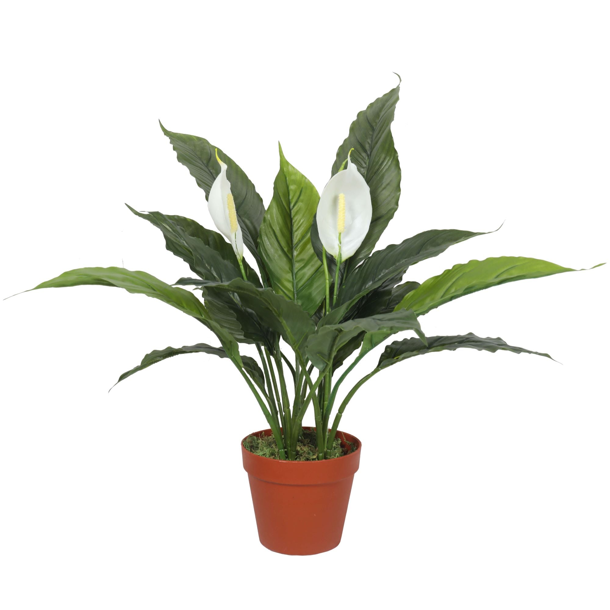 artificial-spathiphyllum-peace-lily-plant-with-white-flowers-60cm
