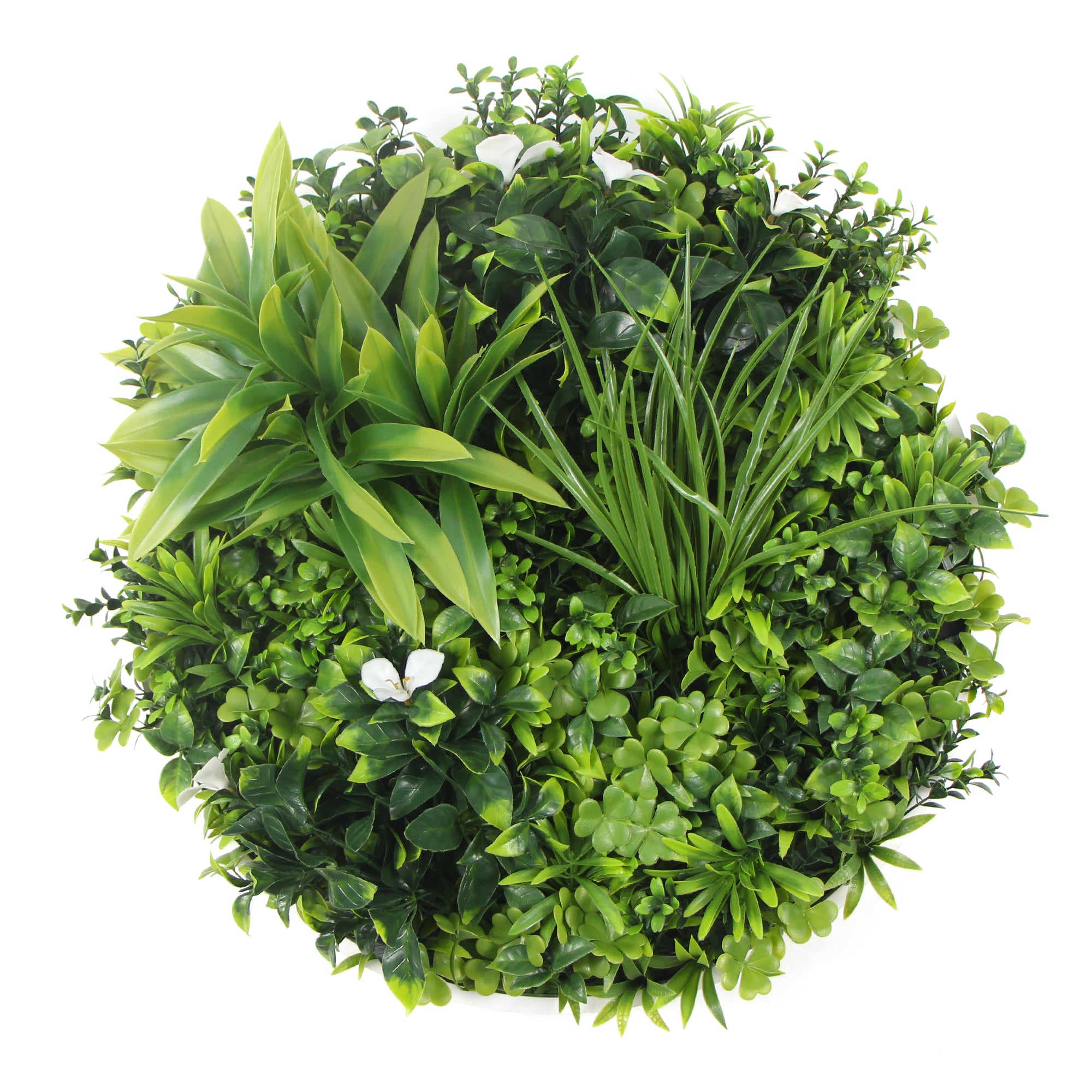 flowering-white-artificial-green-wall-disc-uv-resistant-75cm-black-frame