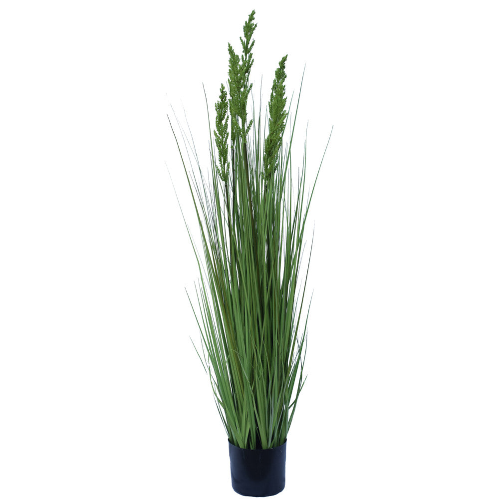 flowering-native-grass-120-cm