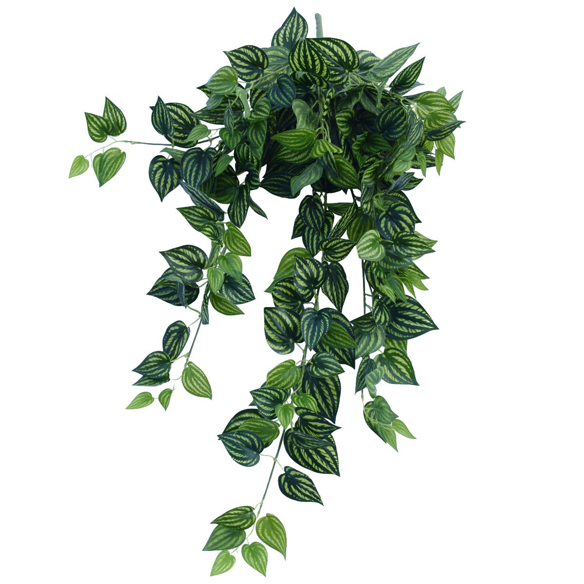 bright-mixed-philodendron-garland-bush-100cm