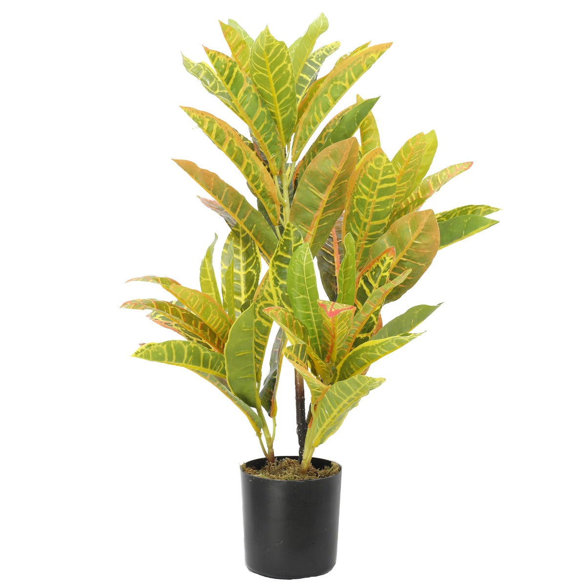 artificial-potted-flaming-zebra-codiaeum-variegatum-crotons-55cm
