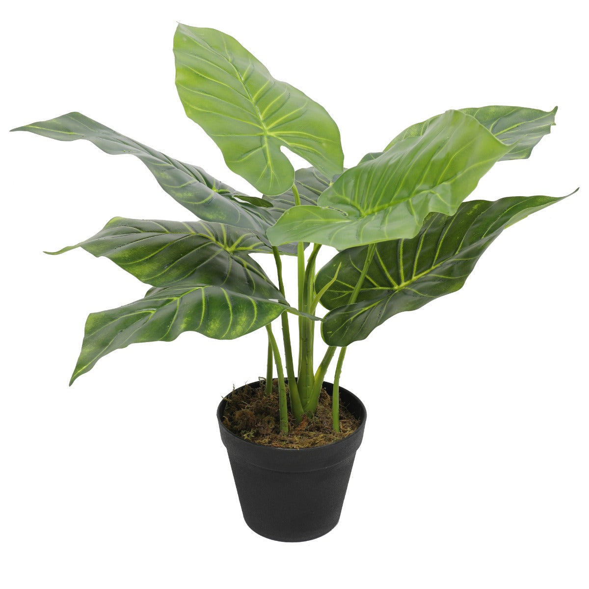 artificial-potted-taro-plant-elephant-ear-55cm
