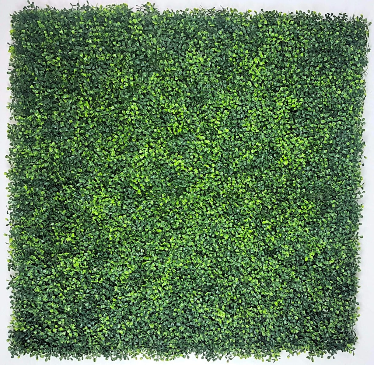 mixed-boxwood-hedge-panels-screens-uv-resistant-1m-x-1m