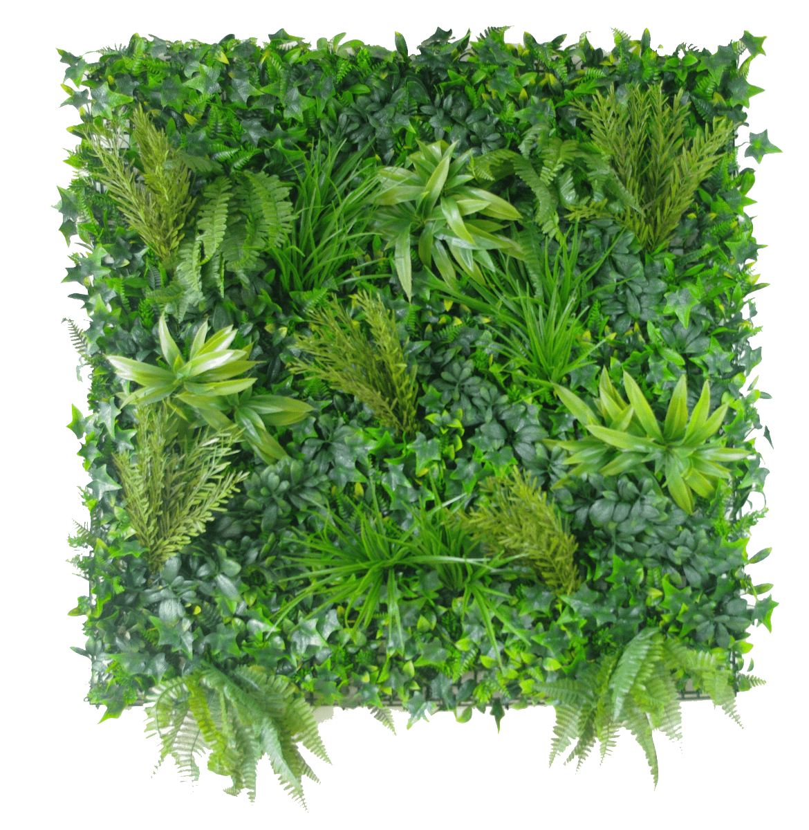 native-tea-tree-vertical-garden-green-wall-uv-resistant-100cm-x-100cm