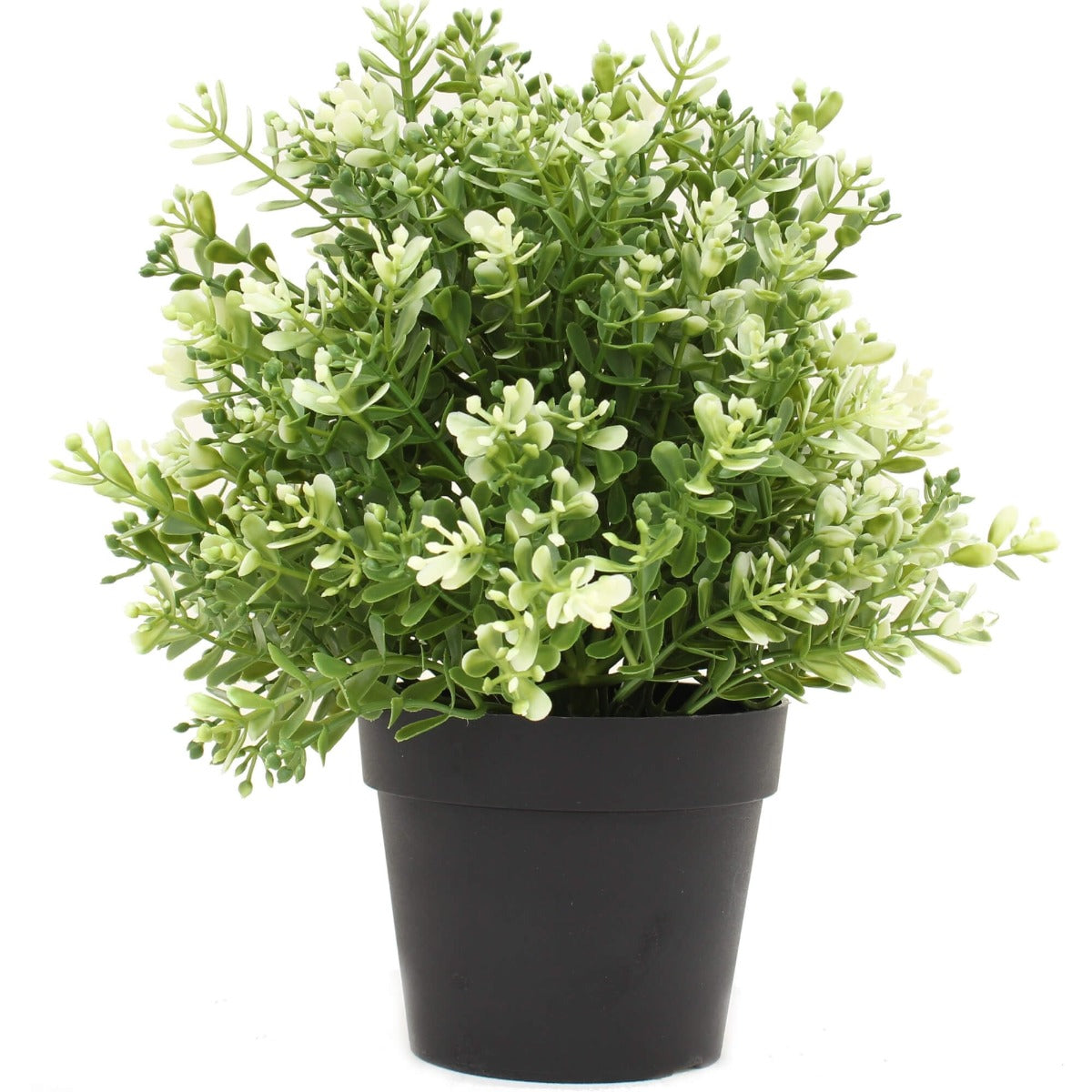small-potted-artificial-white-jade-plant-uv-resistant-20cm
