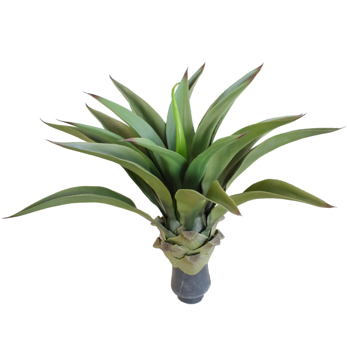 uv-agave-50cm-no-pot