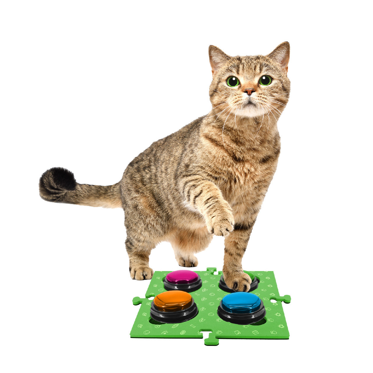 Tech4Pets Green Mat 2-Pack for Talking Buttons & Floor