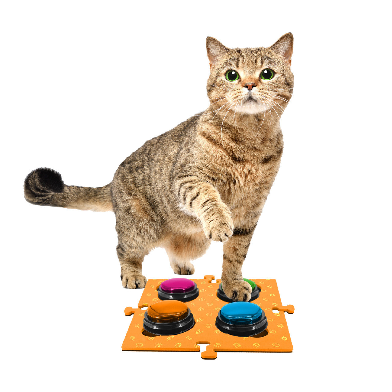 Tech4Pets Orange Mat 2-Pack for Talking Buttons & Floor