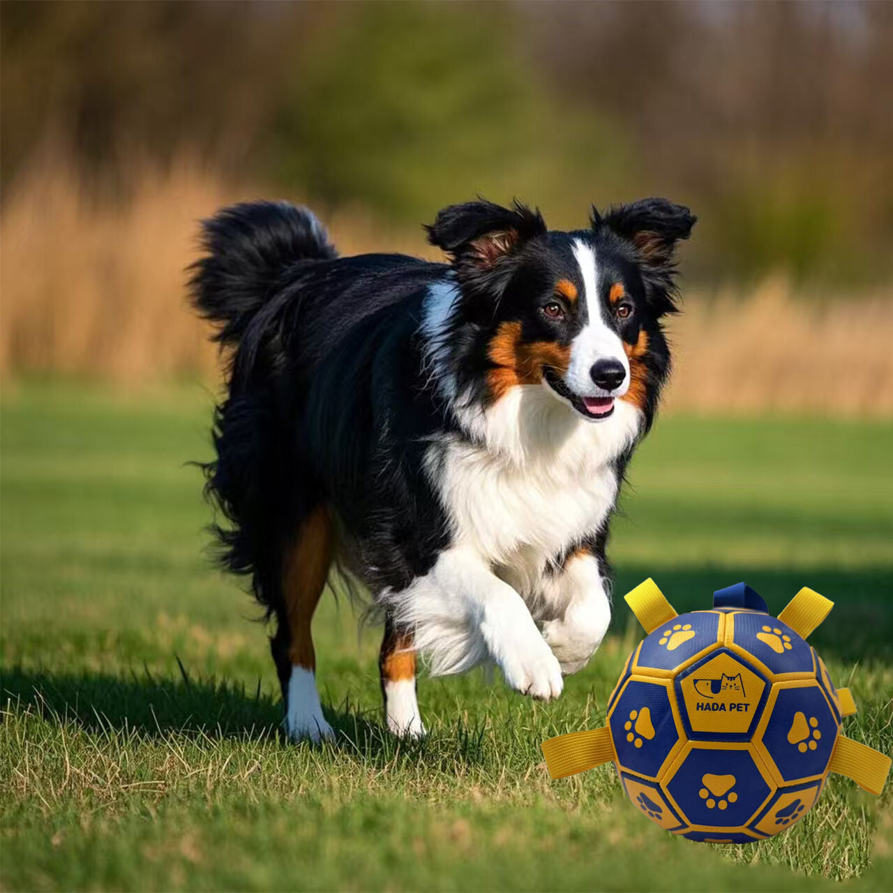 Dog toy with rope Little Yellow Duck plush interactive tennis, suitable for tug-of-war, birthday gift for small dogs, draggable and durable water ball, special for small and medium-sized dogs, made of high quality PU material, which can be kicked and play