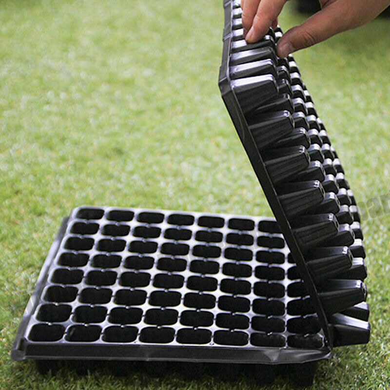 12x 72 Hole Plant Seed Grow Box Insert Propagation Nursery Seedling Starter Tray