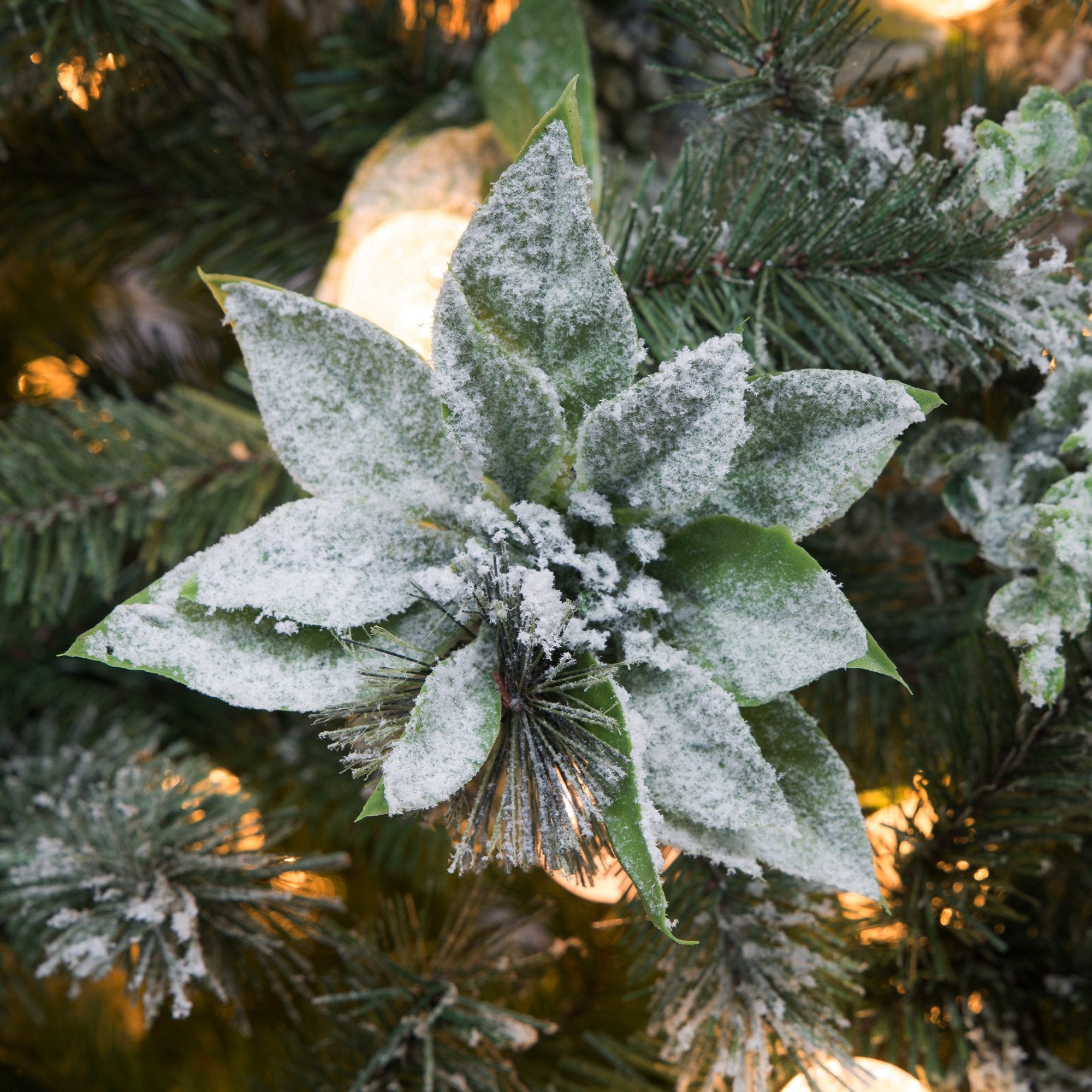 Christabelle Snowy Crown Pine 2.3m Multicolour Pre-Lit Christmas Tree with 1453 Tips