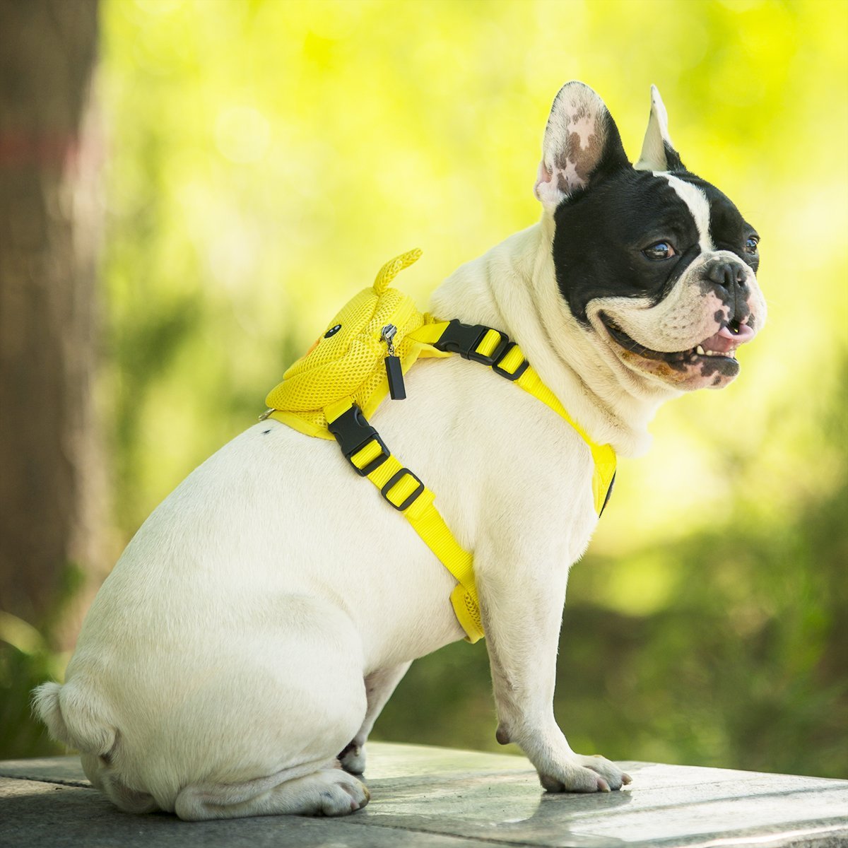 Ondoing Pet Saddle Bag Dog Harness Backpack Hiking Traveling Outdoor Bags Cute Costume (Yellow tiger bag with leash)L