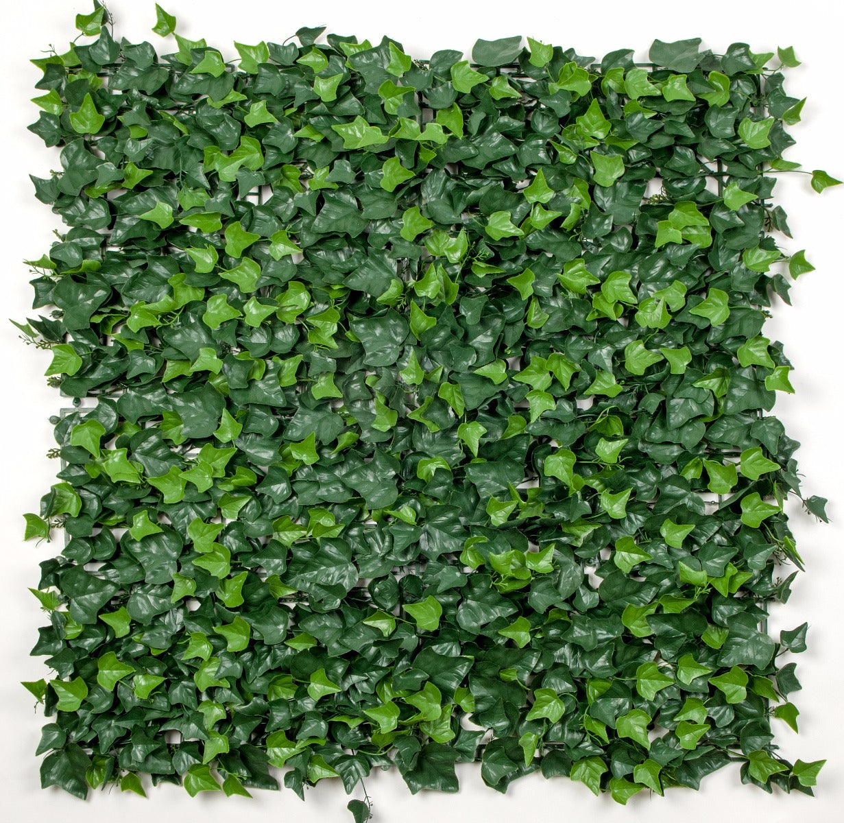 ivy-leaf-screens-panels-uv-stabilised-1m-x-1m