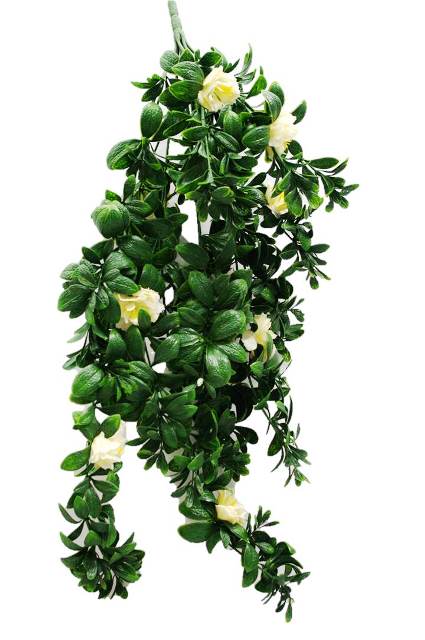 hanging-white-rose-stem-uv-85cm