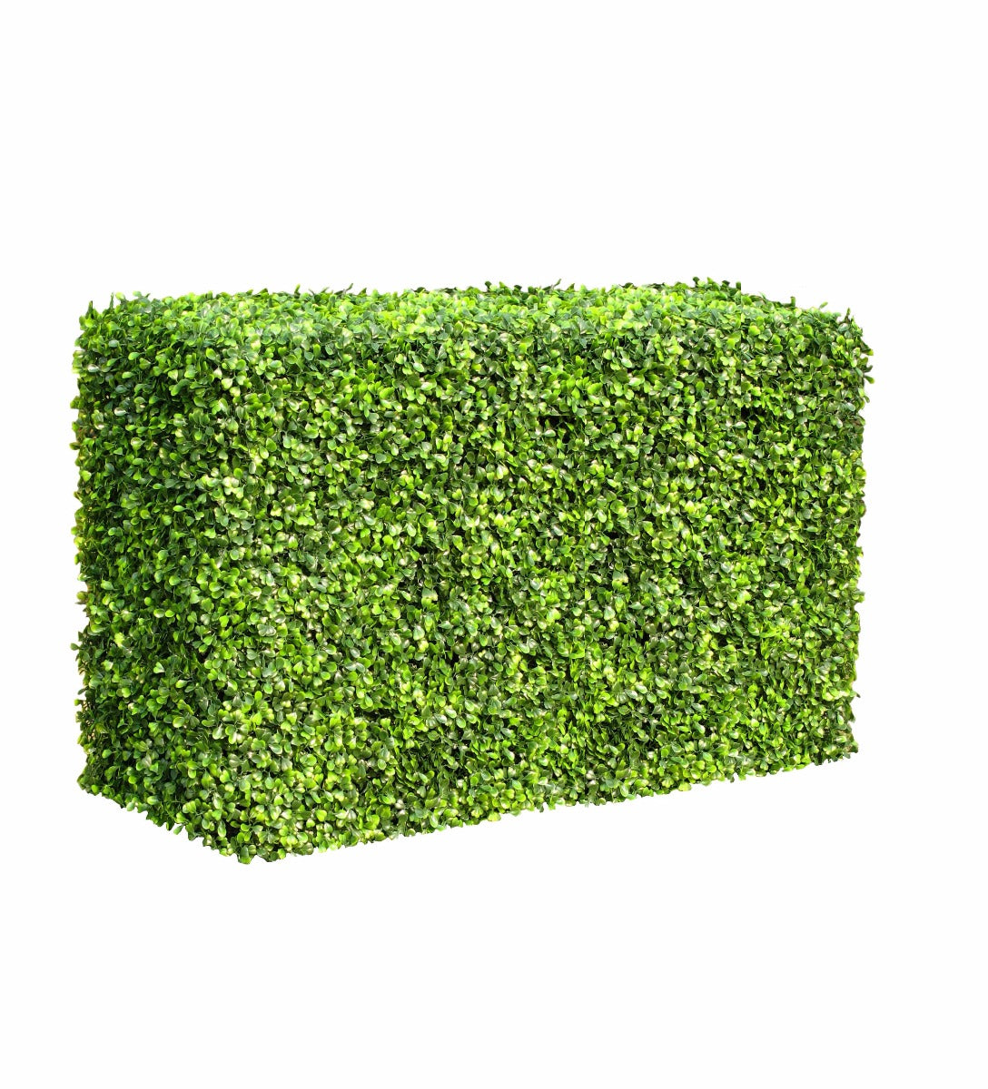 portable-boxwood-hedge-1m-long-50cm-high-30cm-deep