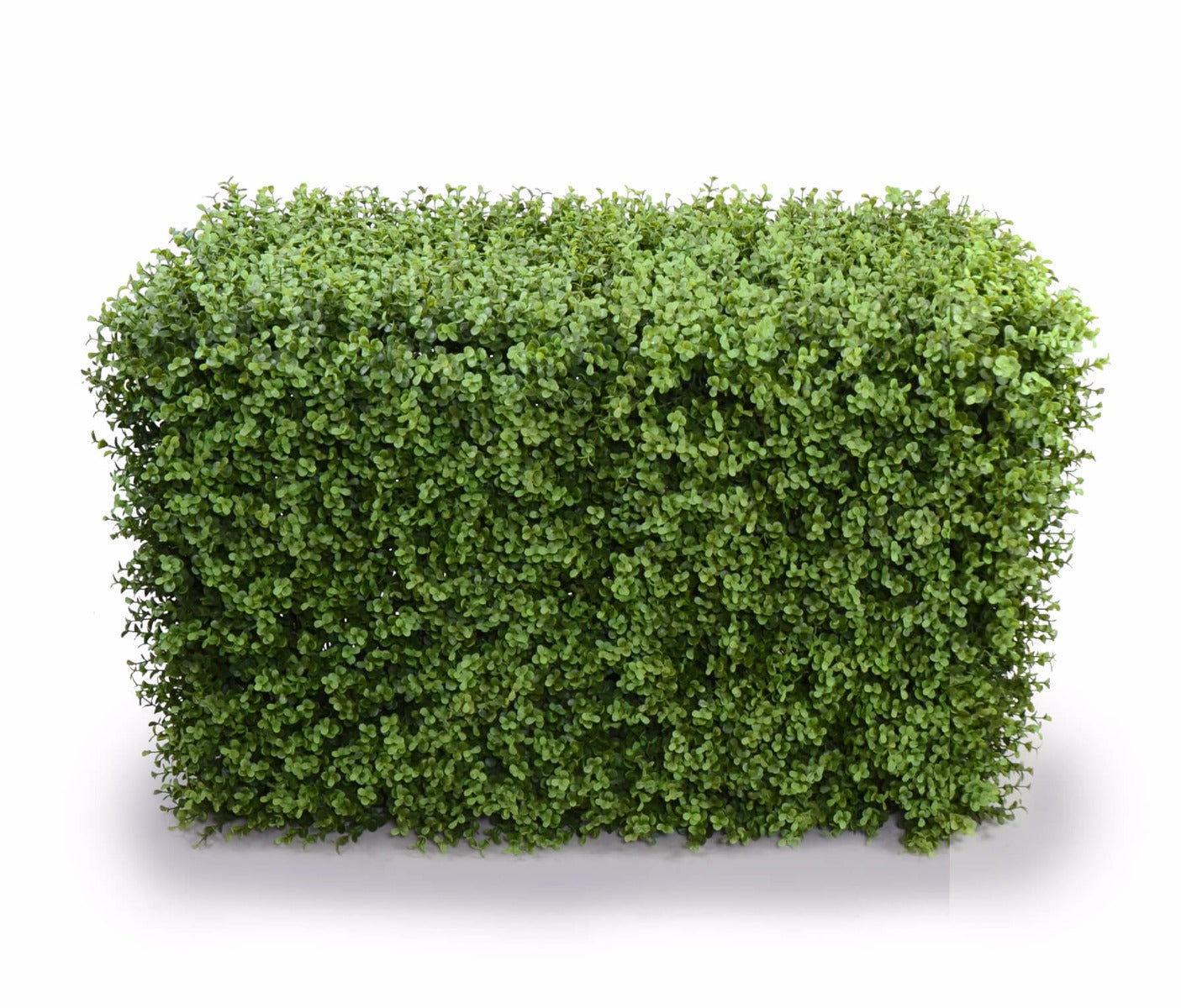 deluxe-portable-buxus-hedges-uv-stabilised-100cm-long-x-55cm-high