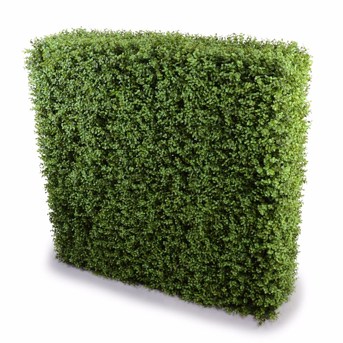 deluxe-portable-buxus-hedges-uv-stabilised-100cm-long-x-100cm-high