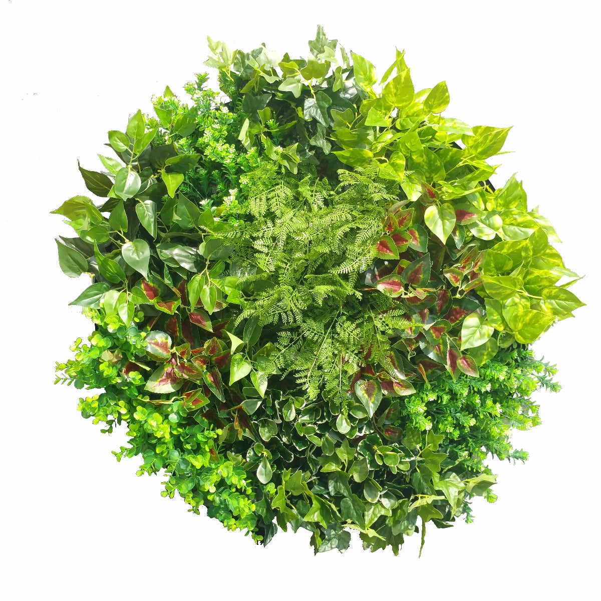 artificial-green-wall-disk-art-80cm-mixed-fern