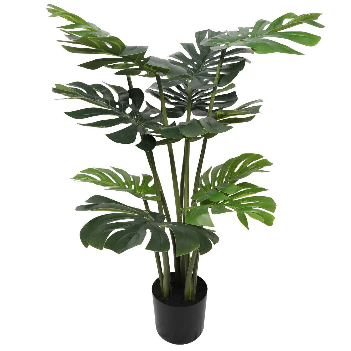 split-philodendron-split-leaf-120cm