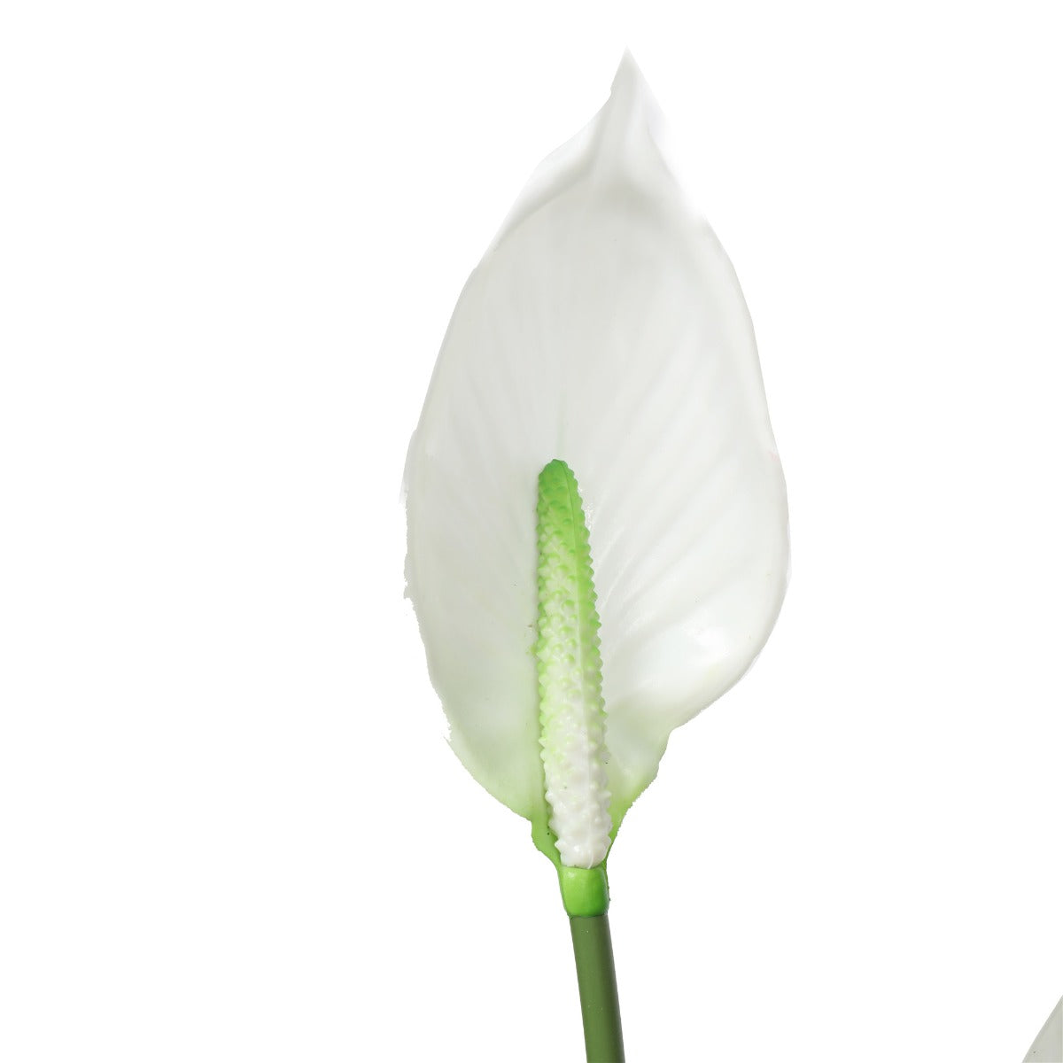 artificial-flowering-white-peace-lily-calla-lily-95cm