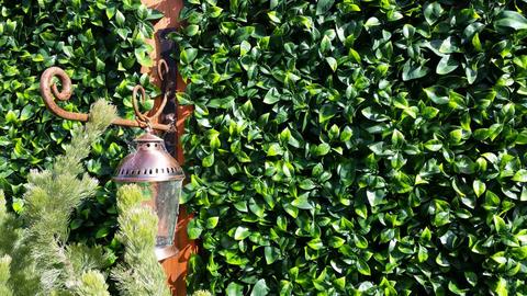jasmine-leaf-screens-panels-uv-stabilised-1m-x-1m