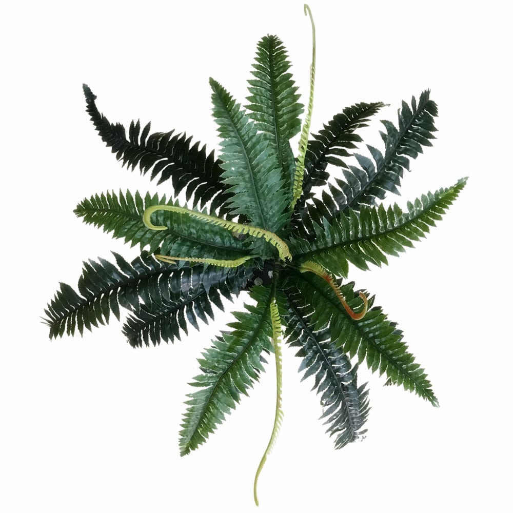 artificial-dark-green-boston-fern-60cm