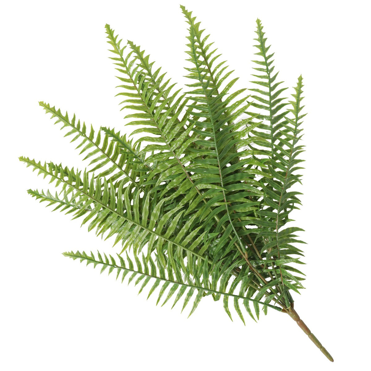 artificial-fern-lady-fern-50cm-uv-resistant