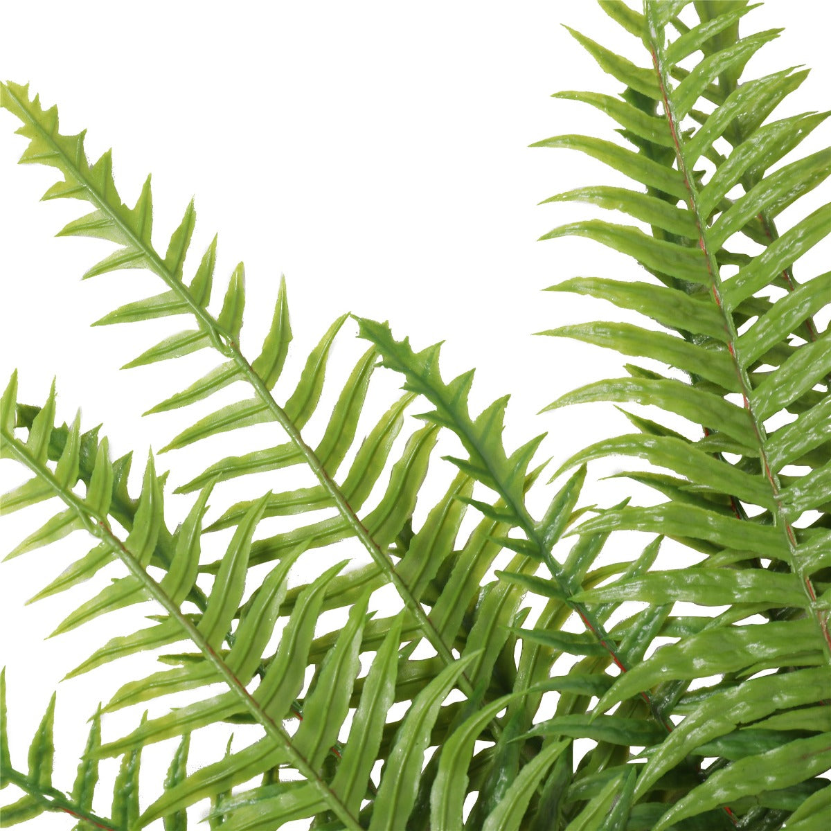 artificial-fern-lady-fern-50cm-uv-resistant