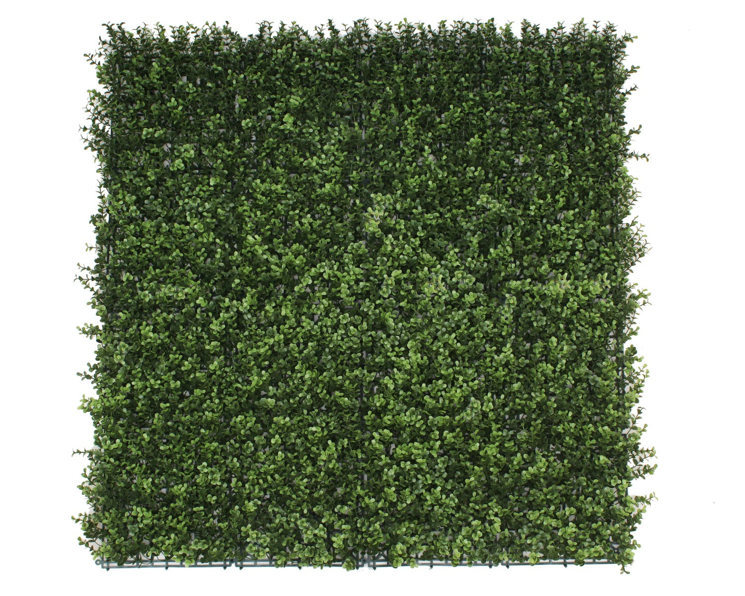 premium-natural-buxus-hedge-panels-uv-resistant-1m-x-1m