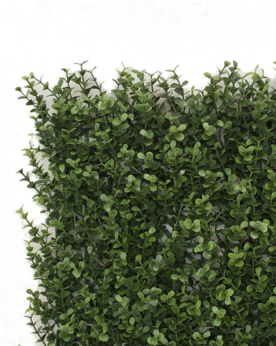 premium-natural-buxus-hedge-panels-uv-resistant-1m-x-1m
