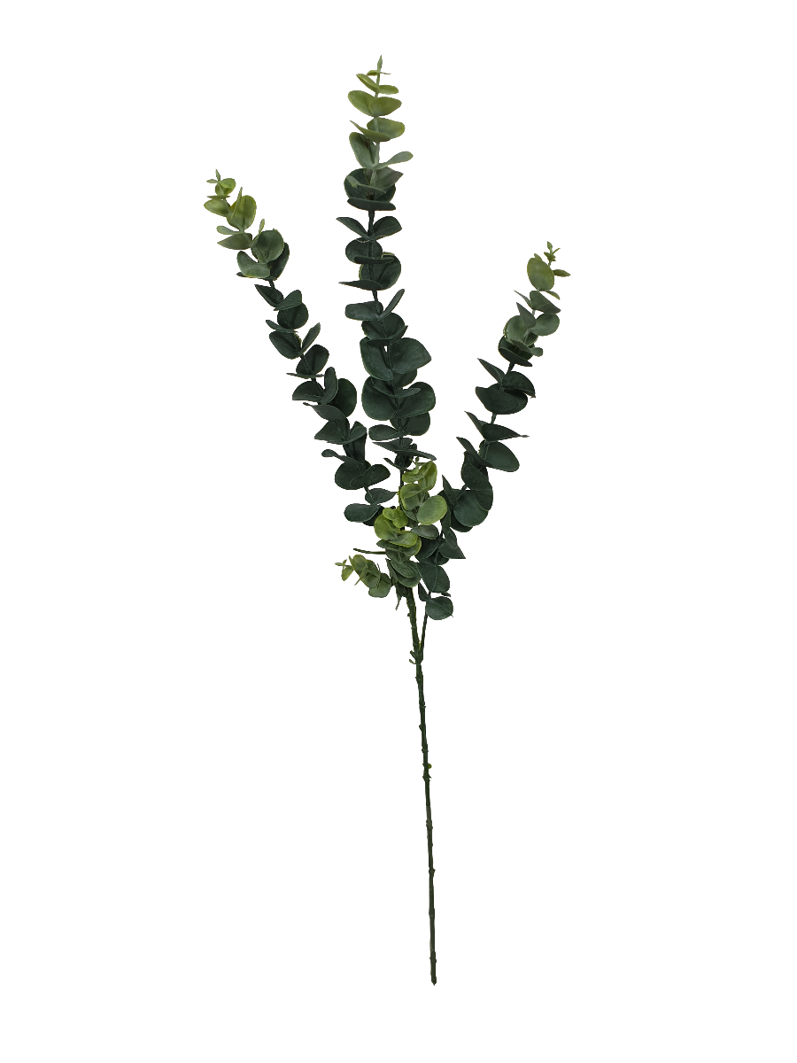 5-pack-long-eucalyptus-stem-77-cm