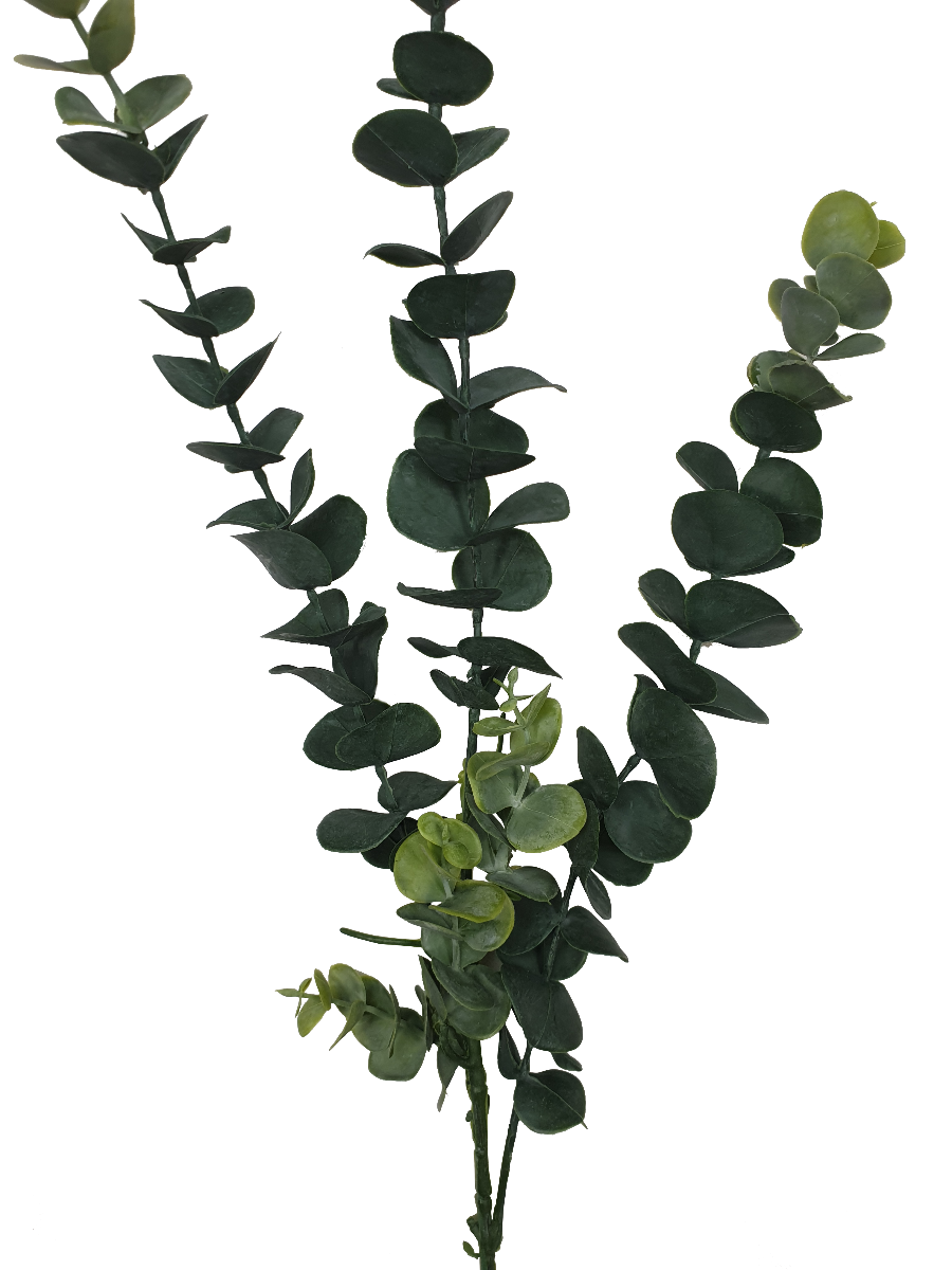 5-pack-long-eucalyptus-stem-77-cm