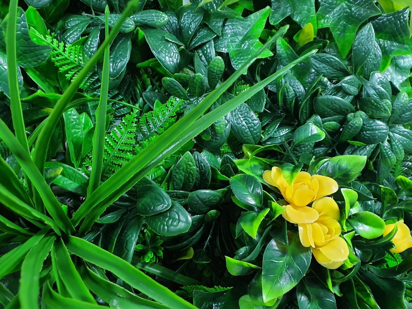 yellow-rose-vertical-garden-green-wall-uv-resistant-100cm-x-100cm