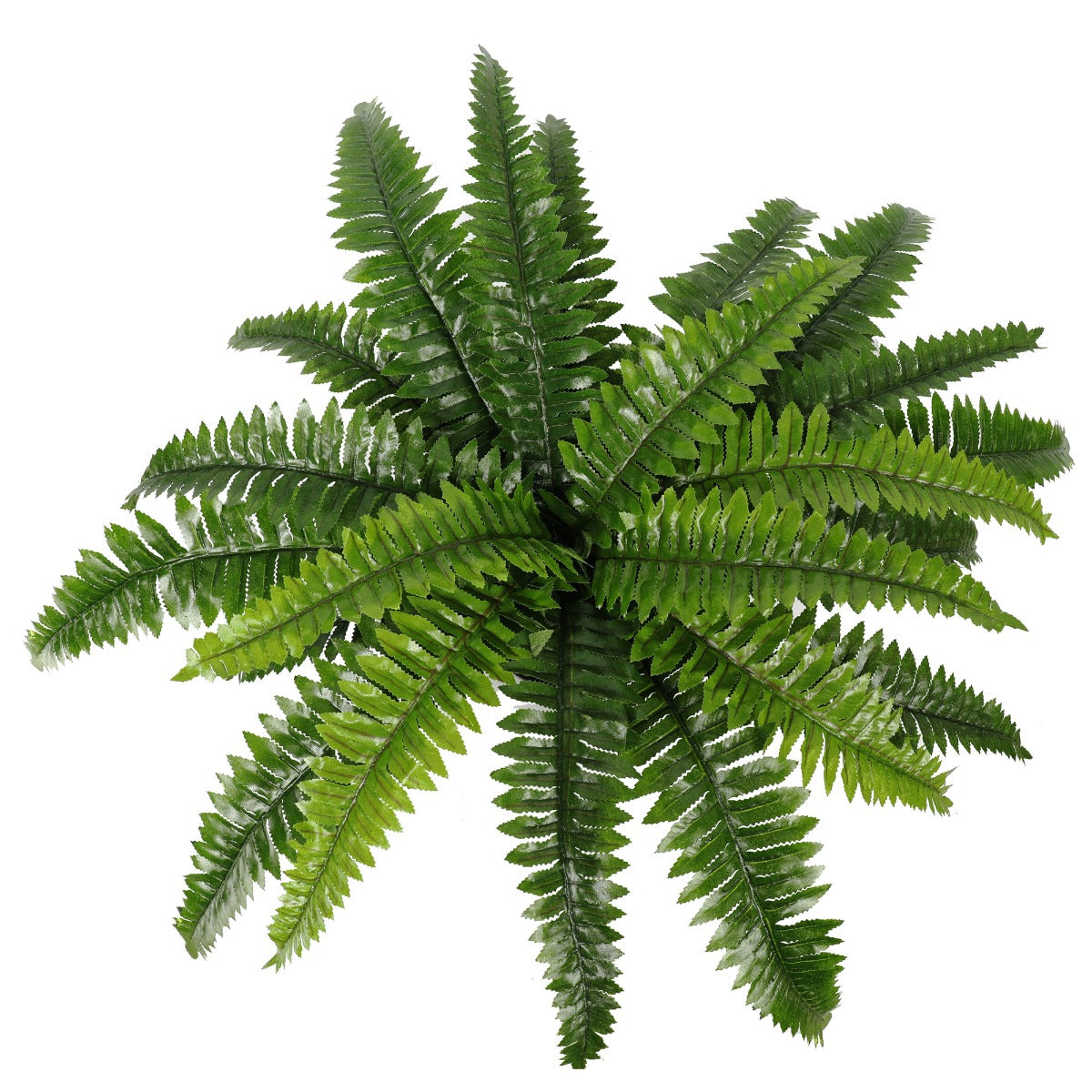 artificial-potted-natural-green-boston-fern-50cm-high-70cm-wide