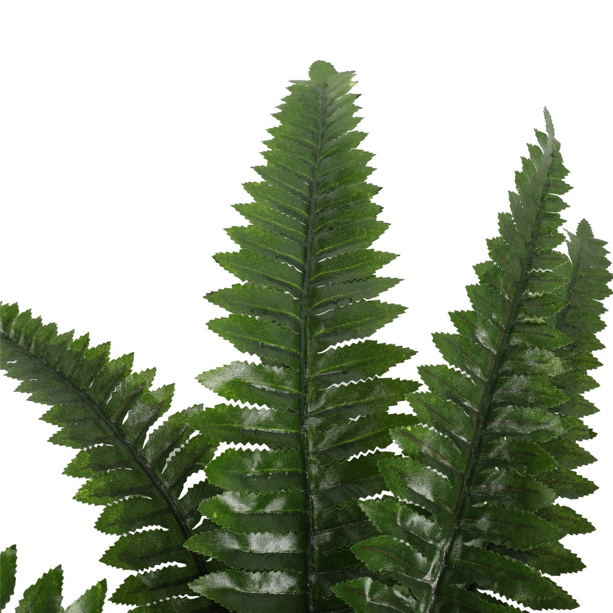 artificial-potted-natural-green-boston-fern-50cm-high-70cm-wide
