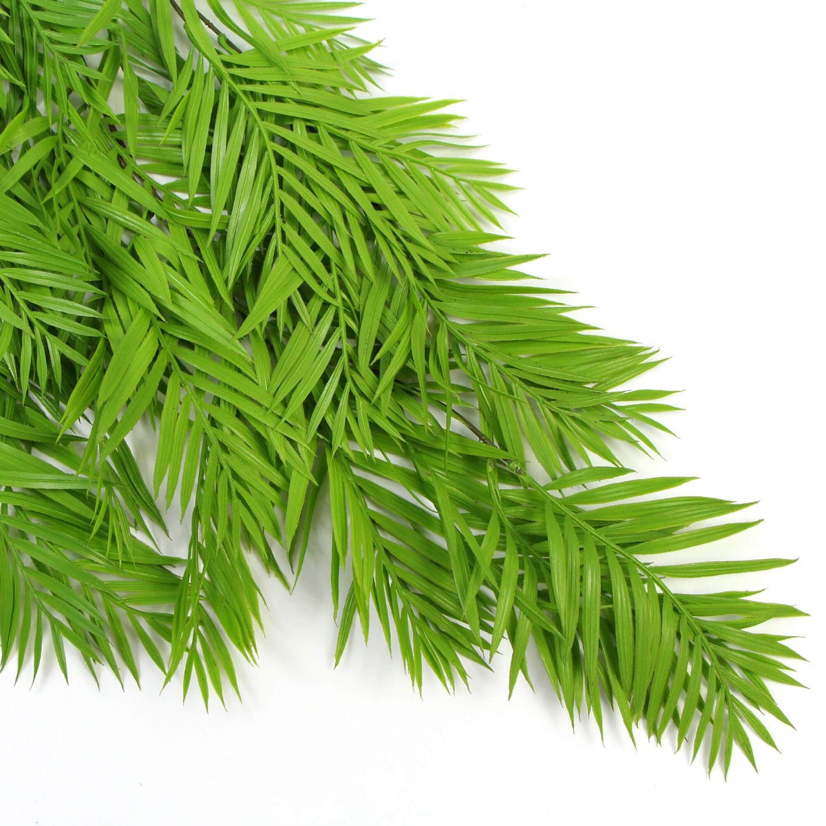 hanging-fresh-green-bamboo-leaf-fern-uv-resistant-80cm