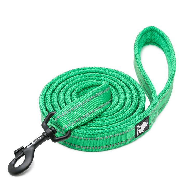 reflective-pet-leash-2-meters-green-l