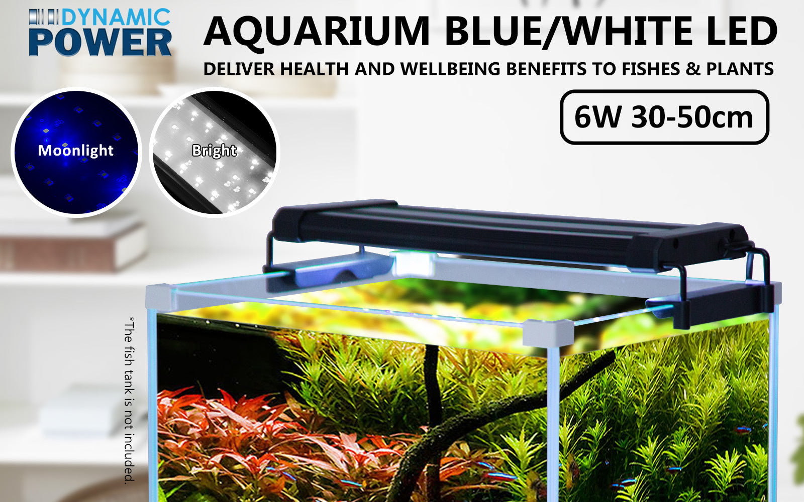 dynamic-power-6w-aquarium-blue-white-led-light-for-tank-30-50cm