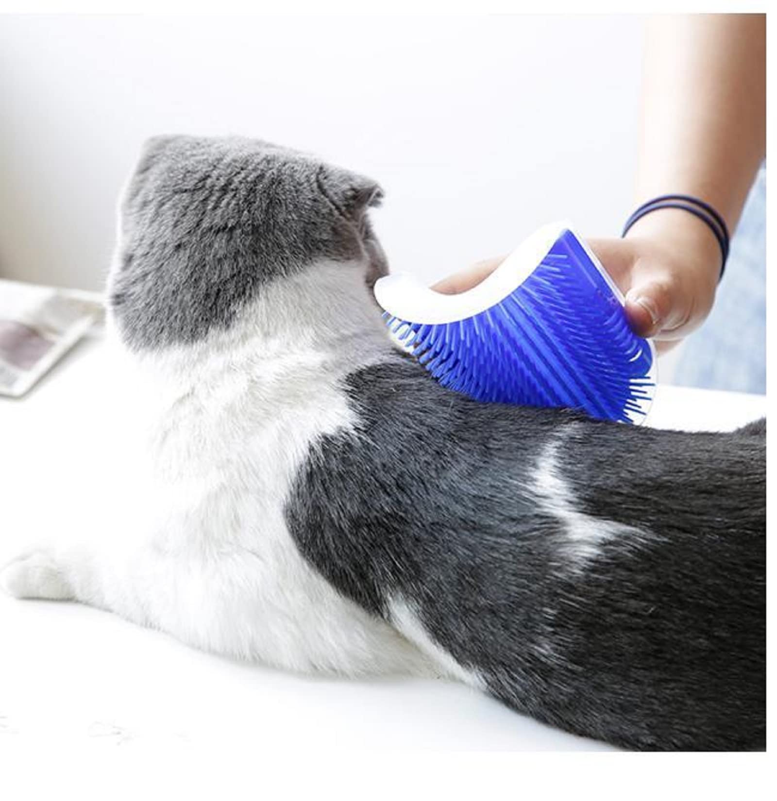 Cat Self Groomer Catnip  Dog Cat Toy Corner Groomer Wall Corner Scratcher Comb Grooming Massage Brush Blue