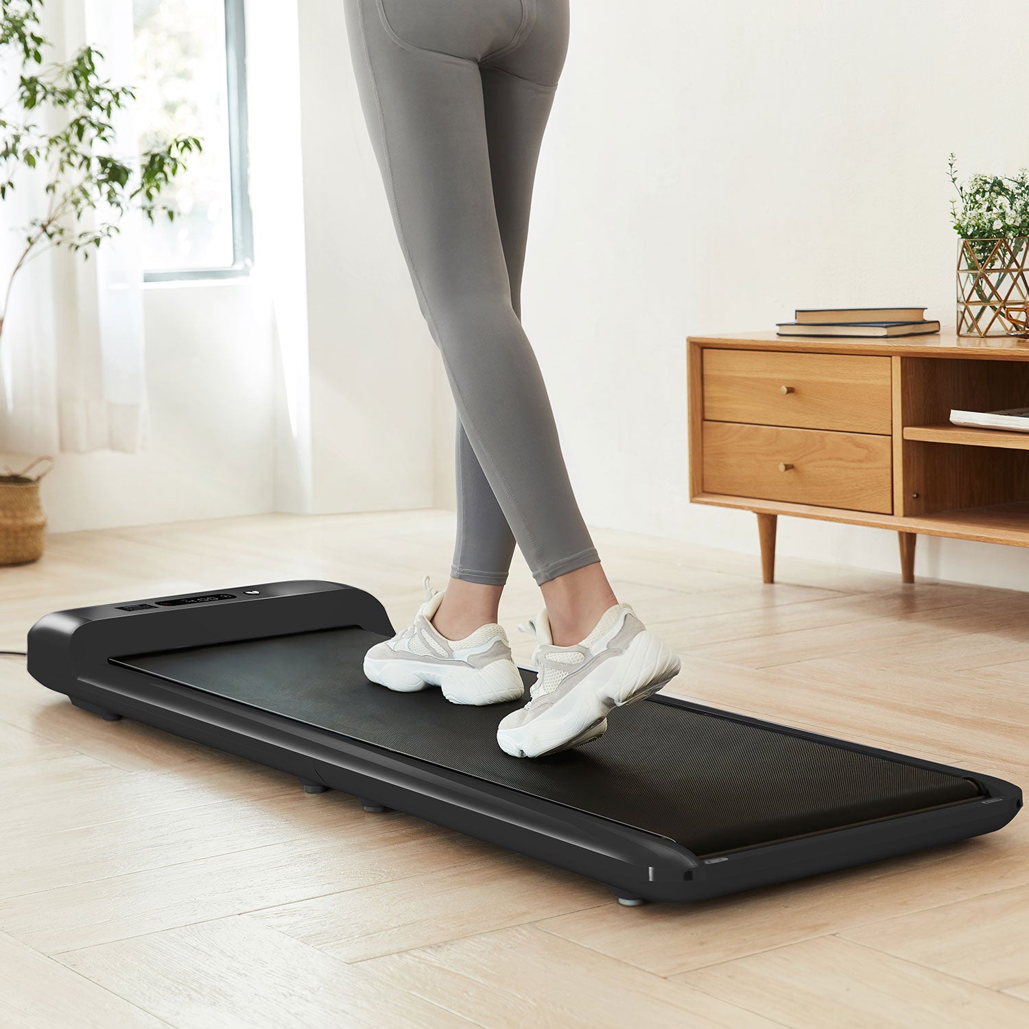 Lifespan Fitness Walking Pad - M2 Treadmill