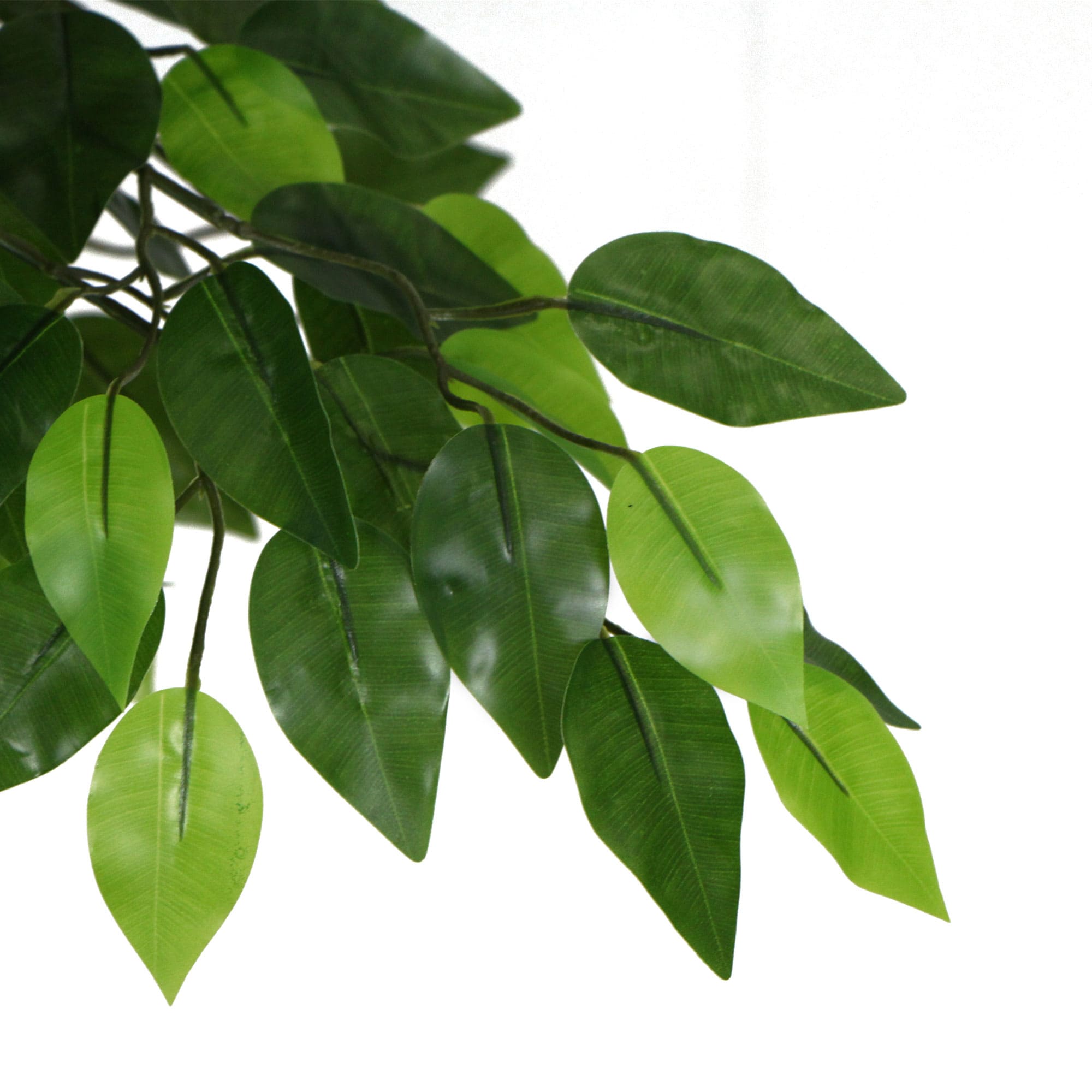 artificial-ficus-tree-180cm-nearly-natural-uv-resistant