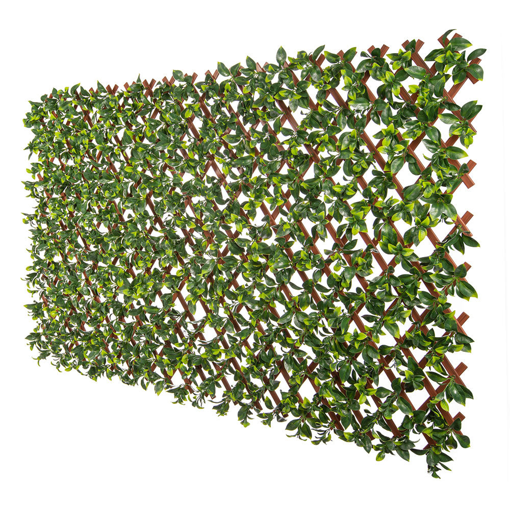 jasmine-artificial-hedge-extendable-trellis-screen-2-meter-by-1-meter-uv-resistant-pvc