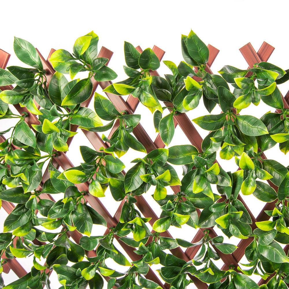 jasmine-artificial-hedge-extendable-trellis-screen-2-meter-by-1-meter-uv-resistant-pvc