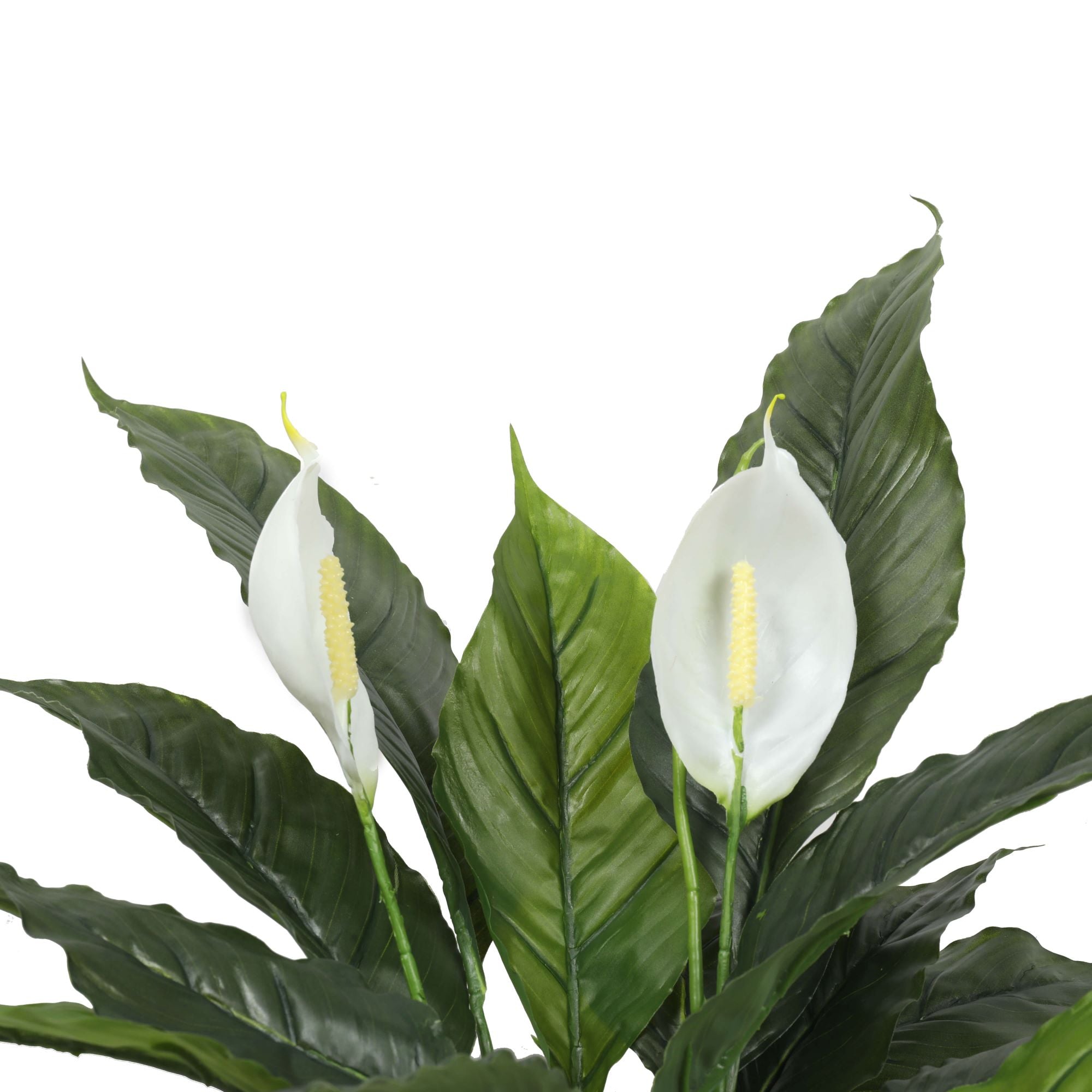 artificial-spathiphyllum-peace-lily-plant-with-white-flowers-60cm