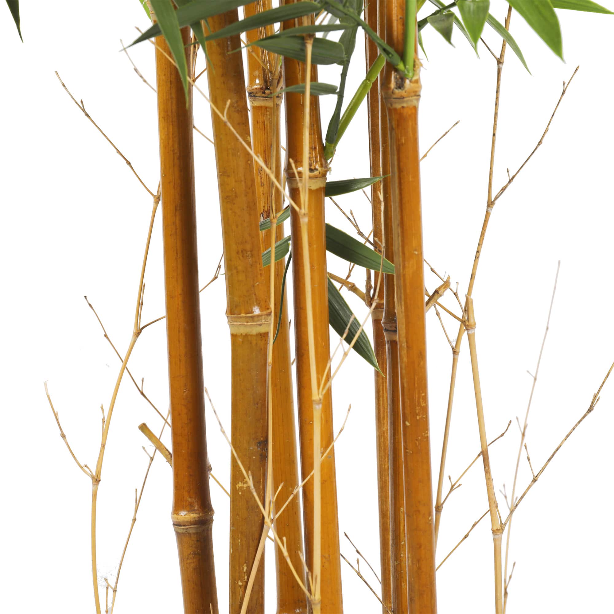 premium-natural-cane-artificial-bamboo-uv-resistant-180cm