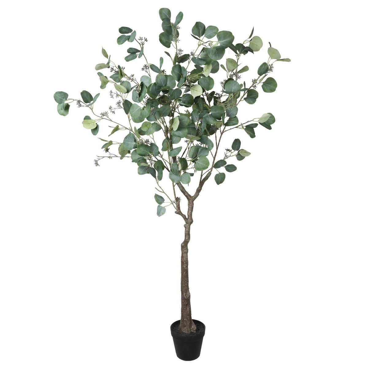 artificial-eucalyptus-tree-red-box-eucalyptus-polyanthemos-150cm